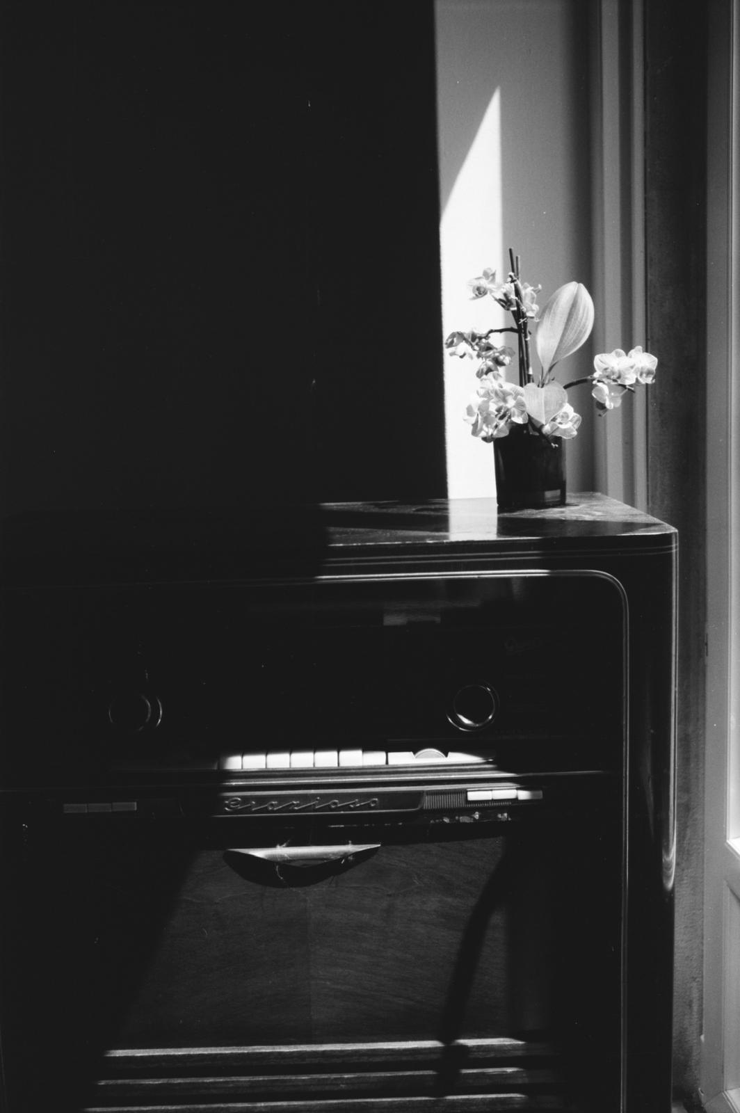 Vintage cabinet radio with an orchid catching window light